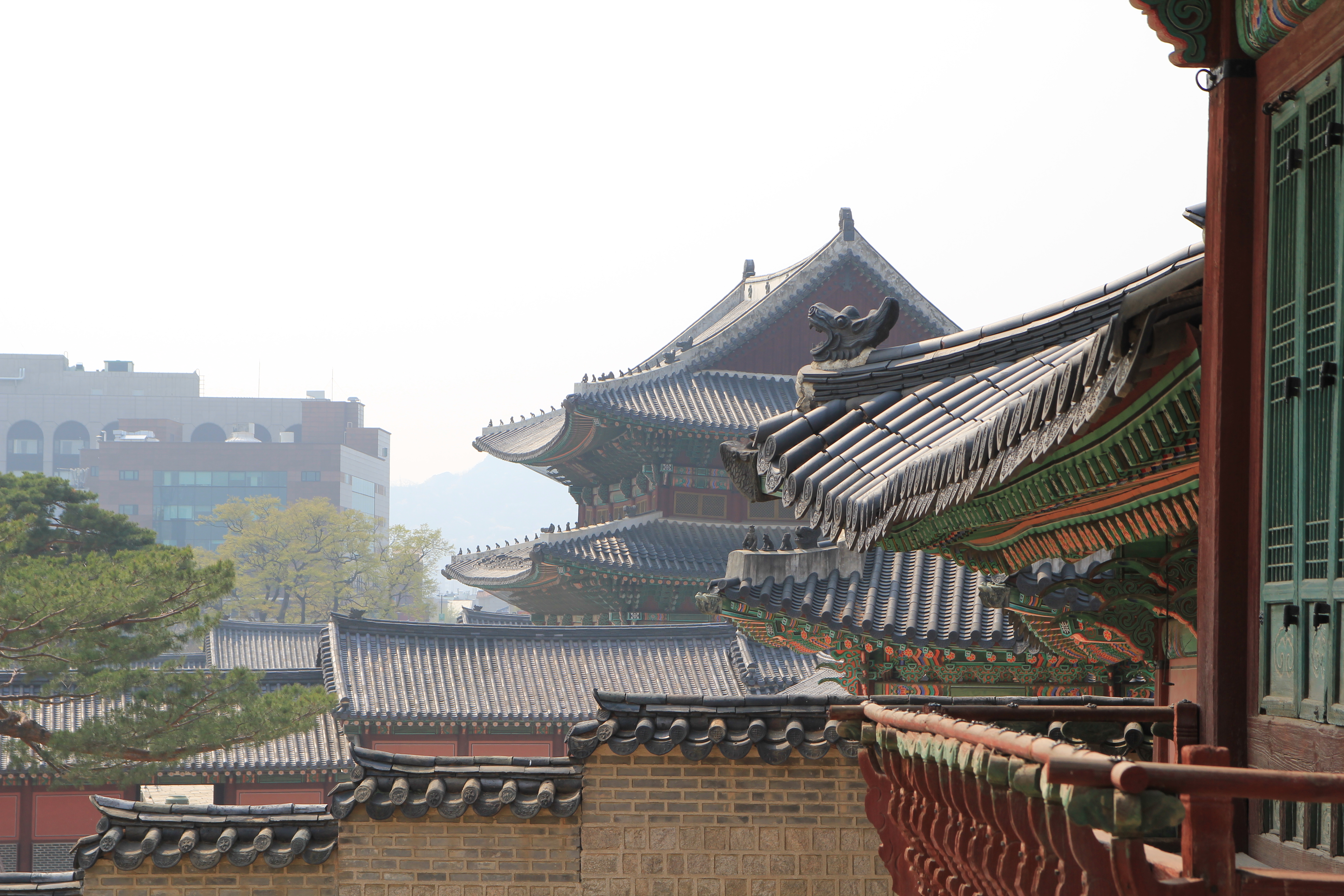 창덕궁 전각 지붕