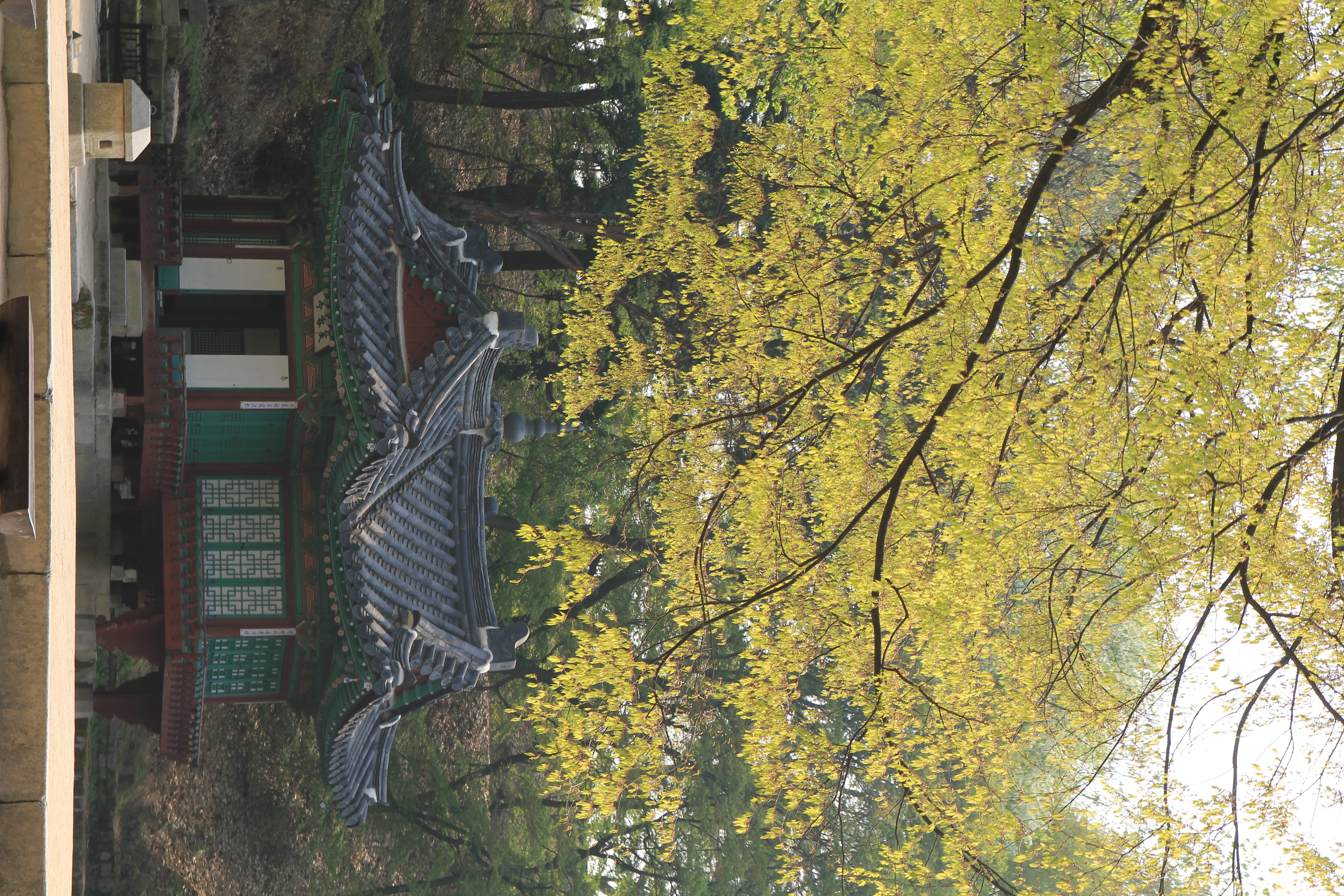창덕궁 부용정